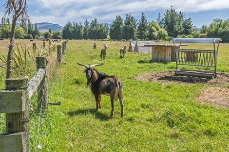 Photo of property in 24 Inglis Road, Okuku, Rangiora, 7473
