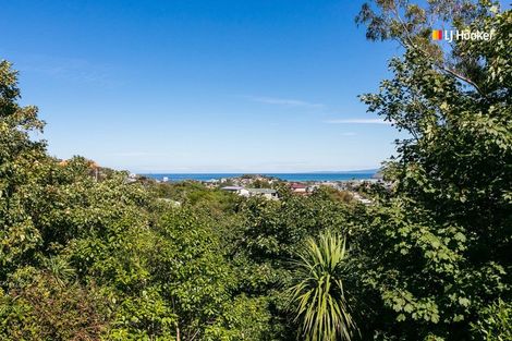 Photo of property in 55b Every Street, Andersons Bay, Dunedin, 9013