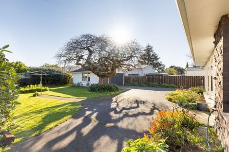 Photo of property in 20 Oruaiti Crescent, Ashhurst, 4810