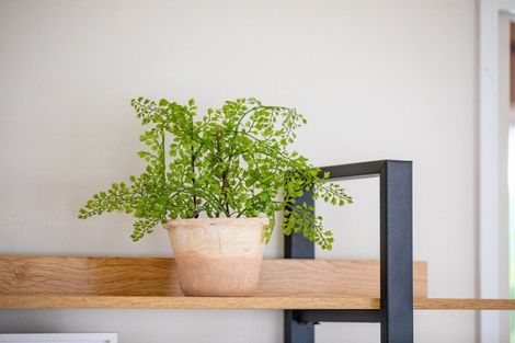 Photo of property in 18 Halcione Close, Flagstaff, Hamilton, 3210