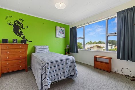 Photo of property in 43 Clarke Avenue, Te Aroha, 3320