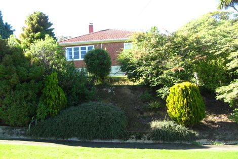 Photo of property in 106 Chapman Street, Wakari, Dunedin, 9010