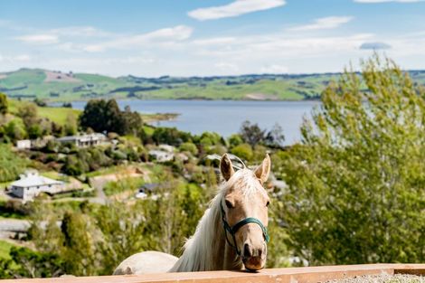 Photo of property in 14 Kingsgate Lane, Waihola, Milton, 9073