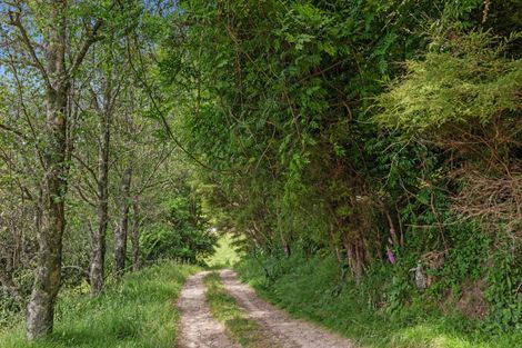 Photo of property in 132 Foster Road, Taneatua, Whakatane, 3191