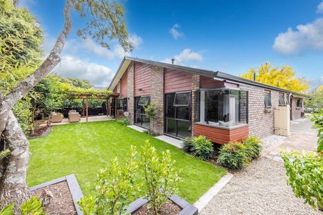 Photo of property in 19 Azimuth Place, Flagstaff, Hamilton, 3210