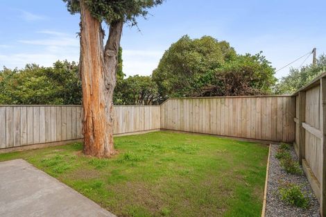 Photo of property in 85b Oxford Street, Lansdowne, Masterton, 5810