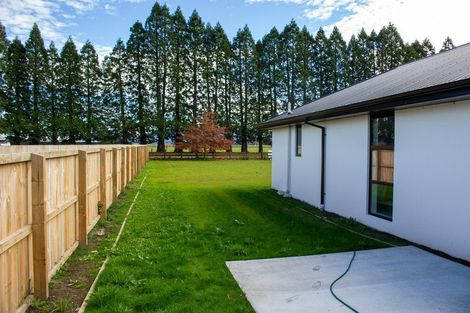 Photo of property in 46 Memorial Crescent, Methven, 7730
