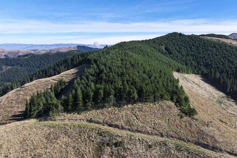 Photo of property in 49 Te Moana Road, Waikanae Beach, Waikanae, 5036