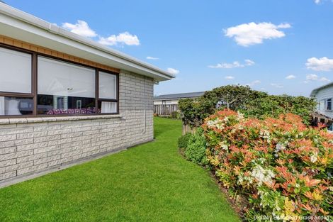 Photo of property in 45 Portia Street, Stratford, 4332
