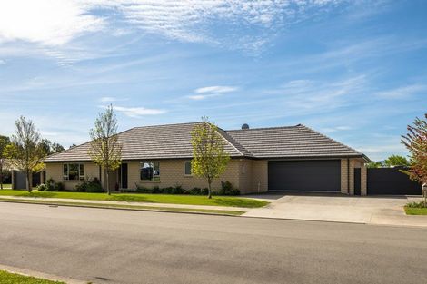 Photo of property in 37 Maeburn Street, Witherlea, Blenheim, 7201