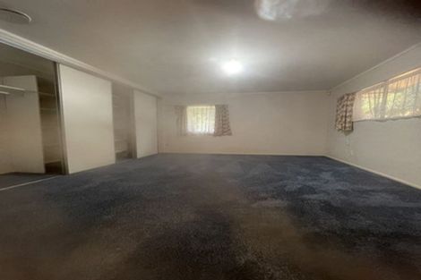 Photo of property in 20 Karetu Road, Greenlane, Auckland, 1051