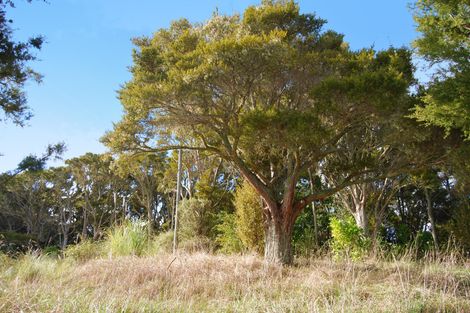 Photo of property in 542e Oneriri Road, Kaiwaka, 0573