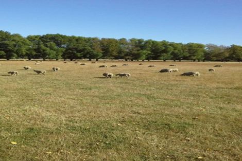 Photo of property in 145 Island Road, Kaiapoi, 7691