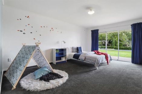 Photo of property in 60 Lee Road, Burbush, Hamilton, 3289