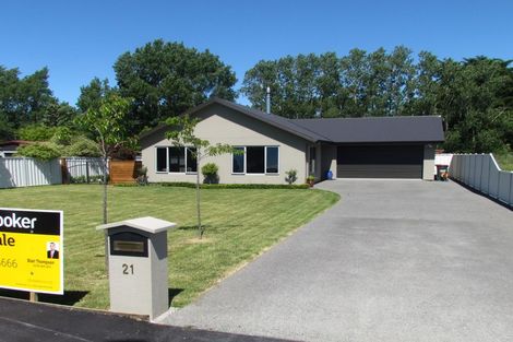 Photo of property in 21 Chamberlain Road, Masterton, 5888