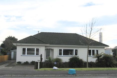 Photo of property in 15 Marshall Street, Fairfield, Hamilton, 3214