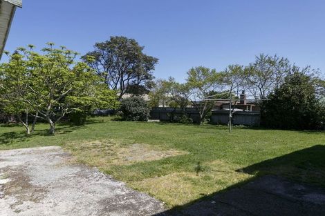 Photo of property in 53 Scannell Street, Taupo, 3330