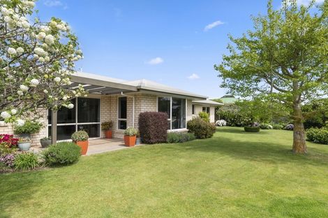 Photo of property in 20 Endeavour Street, Riversdale, Blenheim, 7201