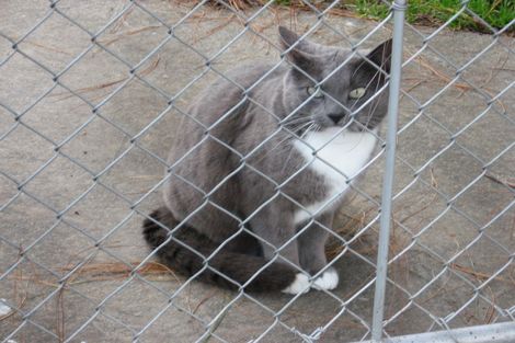 Photo of property in 90 Silverdale Road, Silverdale, Hamilton, 3216