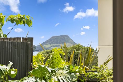 Photo of property in 111b Twelfth Avenue, Tauranga South, Tauranga, 3112