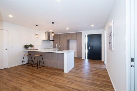 Photo of property in 163a William Street, Netherby, Ashburton, 7700