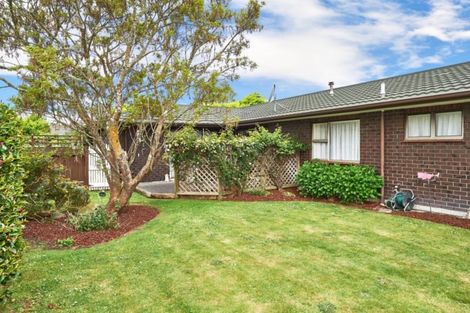 Photo of property in 22 Hind Place, Hokowhitu, Palmerston North, 4410