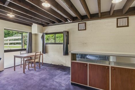 Photo of property in 74 Arapaepae Road, Levin, 5510