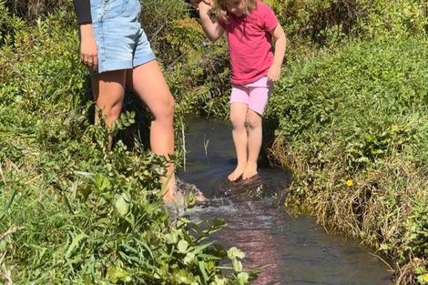 Photo of property in 459 Wainui Road, Raglan, 3297