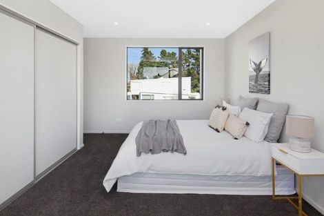 Photo of property in 14 Dave Jamieson Lane, Hillmorton, Christchurch, 8024