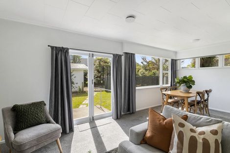 Photo of property in 59 Macarthur Street, Levin, 5510