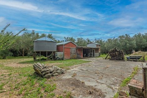 Photo of property in 49 Joblins Road, Levin, 5571