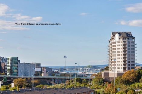 Photo of property in Luna Apartments, 3x/16 Burton Street, Grafton, Auckland, 1010