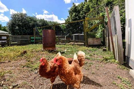 Photo of property in 11 Appleton Lane, Eureka, Hamilton, 3287