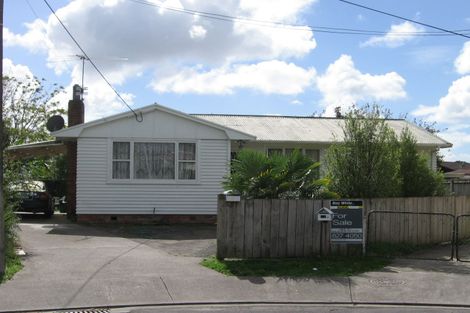 Photo of property in 9a Harry Ward Place, Henderson, Auckland, 0610