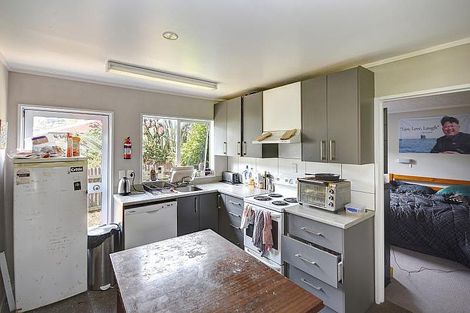 Photo of property in 119 North Road, North East Valley, Dunedin, 9010