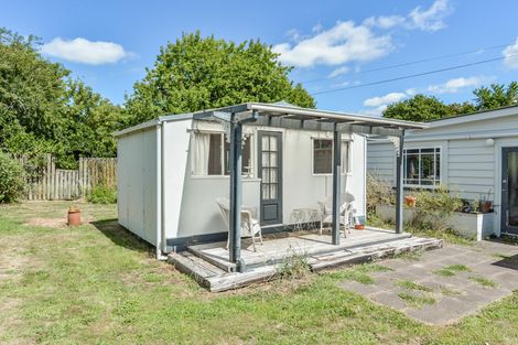 Photo of property in 107 Horrell Road, Morrinsville, 3374