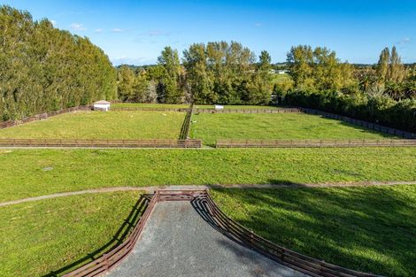 Photo of property in 55 Postman Road, Dairy Flat, Albany, 0794