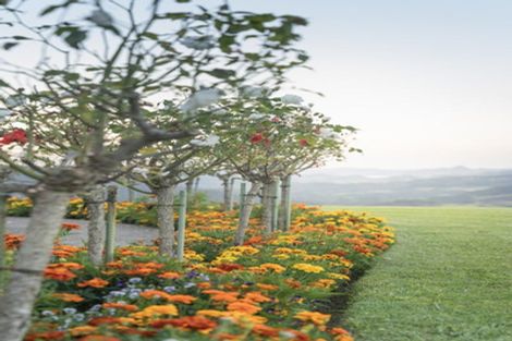 Photo of property in 50b Paul Road, Whenuakite, Whitianga, 3591