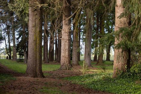 Photo of property in 212 Beach Road, Elgin, Ashburton, 7777