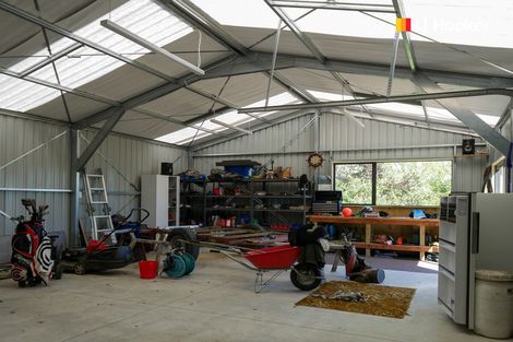 Photo of property in 50 Auskerry Street, Palmerston, 9430