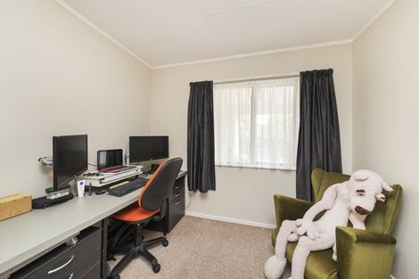 Photo of property in 103 Salisbury Street, Ashhurst, 4810