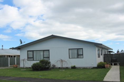 Photo of property in 46 Strathmore Avenue, Levin, 5510