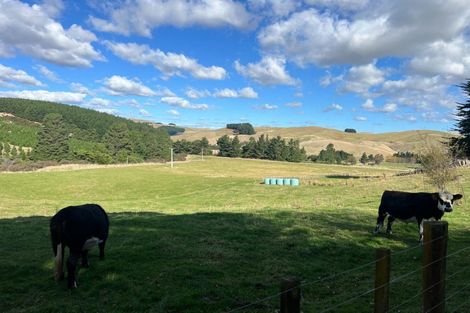 Photo of property in 923 Oporae Road, Waione, Dannevirke, 4971