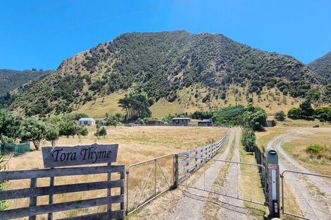 Photo of property in 402 Tora Farm Settlement Road, Tora, Martinborough, 5782
