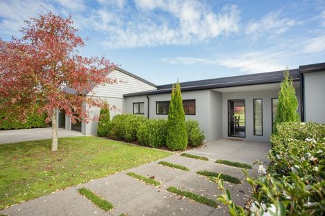 Photo of property in 18 Orchard Place, Matamata, 3472
