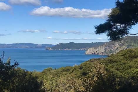 Photo of property in 455 Tuateawa Road, Tuateawa, Coromandel, 3583