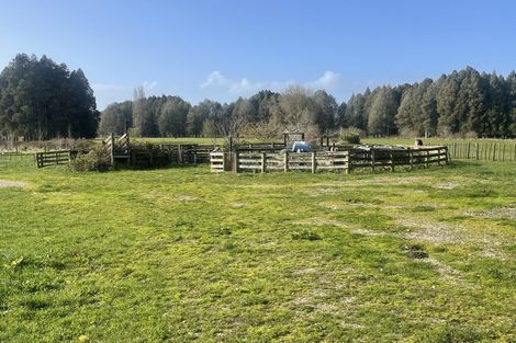 Photo of property in 943 State Highway 3, Hangatiki, Te Kuiti, 3985