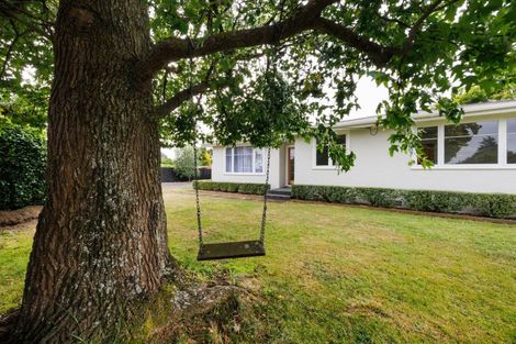 Photo of property in 76 Salisbury Street, Ashhurst, 4810