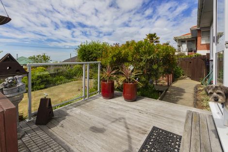 Photo of property in 21 Tamar Street, South Hill, Oamaru, 9400
