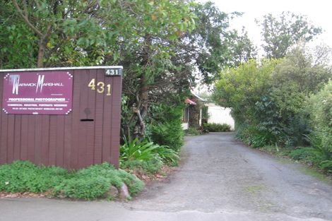 Photo of property in 431 Featherston Street, Palmerston North, 4414